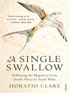 A Single Swallow (eBook)